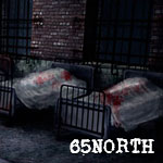 65NORTH Environment concept